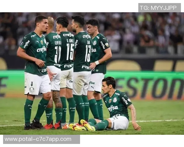 帕梅拉斯与累体育激情对决直播全程回顾与精彩瞬间分享