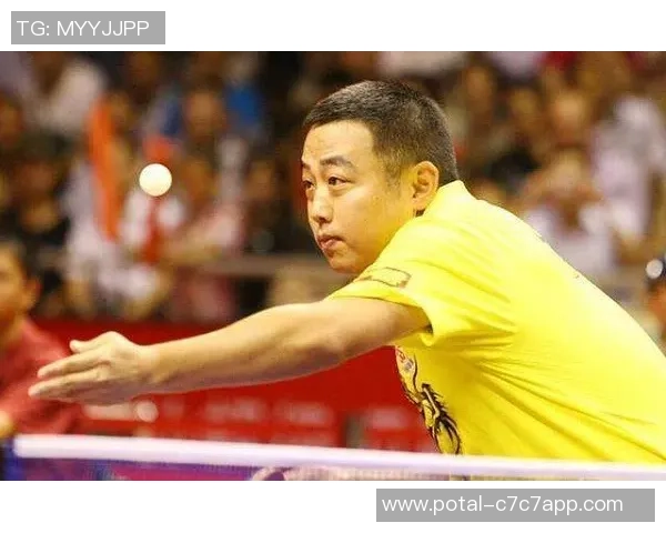 成都乒乓球队防守革新之路：技术与战术的双重突破与实践探索